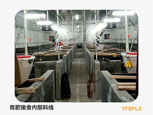 養(yǎng)豬料線清洗的必要性以及注意事項(xiàng) 養(yǎng)豬料線清洗的必要性以及注意事項(xiàng)